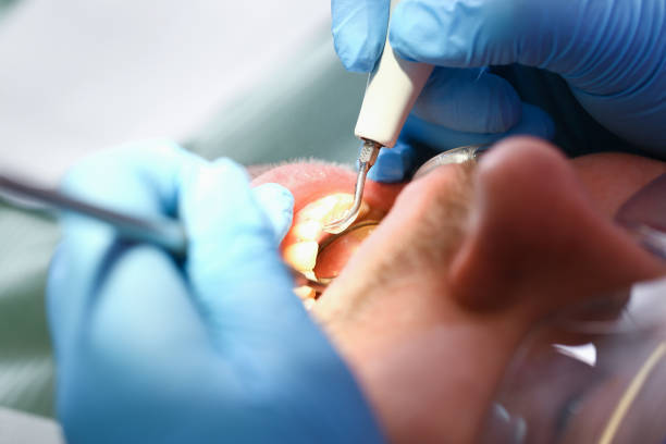 Best Emergency Orthodontic Repairs in Allegan, MI